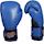 Ronin Fighter Boxing Glove - Blue/Black