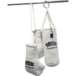 Ronin Mini Boxing Bag + Gloves